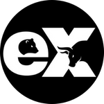 ExNetwork Capital logo